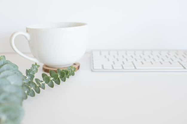 A bright, organized home office desk with a laptop, a plant, a minimalist notebook, and a clean coffee mug, bathed in soft, natural light, symbolizing a conducive environment for focused work.