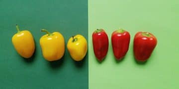 Organic vs. Non-Organic 2025: Cost-Benefit Analysis Debunked - Cover Image