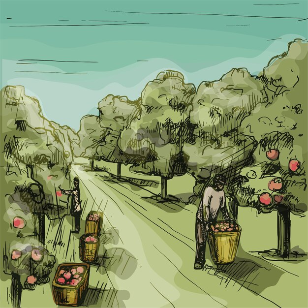 An artistic rendering of sustainable agriculture, perhaps an olive grove or avocado orchard, with healthy trees, clear irrigation, and happy, ethical farmers tending to the land under a bright sky, emphasizing responsible and eco-friendly practices.
