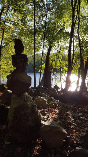 The Benefits of Nature on Mental Health: 2 Hours Outdoor Boost