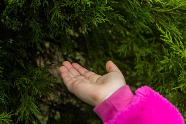 A person's hands gently touching a vibrant green plant in a sunny garden, symbolizing connection and growth.