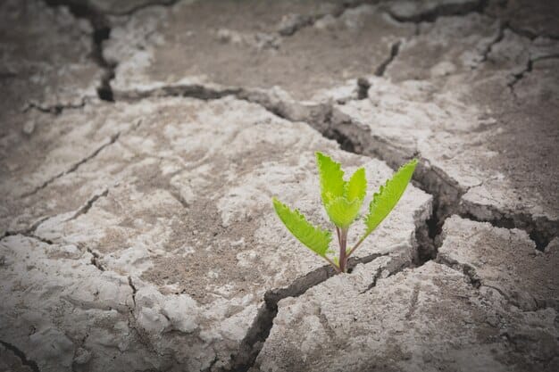 A lone sapling growing resiliently through a crack in dry earth, symbolizing hope and endurance in difficult conditions, with a soft blur in the background.