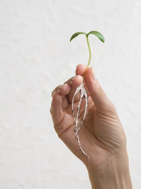 A person's hands holding a sprouting seedling in cupped hands, symbolizing growth and nurturing through difficult times.