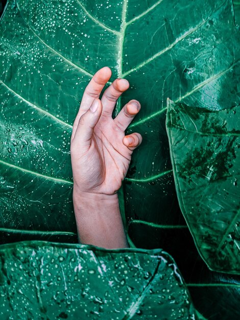 A close-up shot of a person's hands gently holding a leaf, symbolizing the delicate nature of mindfulness and self-care, against a blurred background of a lush forest. Emphasis on the concept of How to Use Mindfulness to Overcome Negative Thoughts and Improve Your Self-Esteem by 15%.