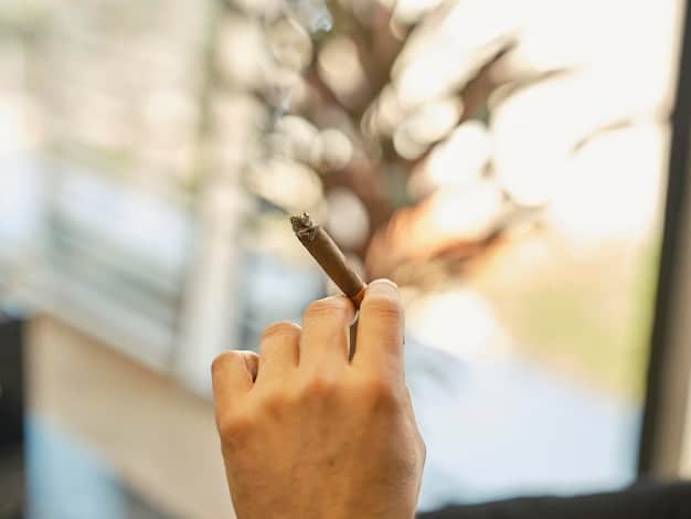 Close-up shot of hands holding a gratitude journal and pen, with sunlight streaming through a window, creating a warm and peaceful atmosphere.