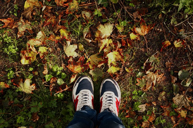 A person's legs and feet are visible, clad in athletic shoes, walking on a leaf-strewn path in a park. The focus is on the act of walking and connecting with nature. This image illustrates practical tips for incorporating nature walks after learning about the profound influence of the New Study: How Nature Walks Can Improve Your Mood by 20% in Just 30 Minutes.