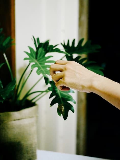 A close-up of a person's hands gently tending to a small indoor herb garden on a windowsill, with sunlight streaming through the window. The focus on indoor green spaces as a way to connect with nature even when outdoor access is limited. This image complements the point of bringing nature indoors despite challenges in getting outdoor walks relevant to the New Study: How Nature Walks Can Improve Your Mood by 20% in Just 30 Minutes.