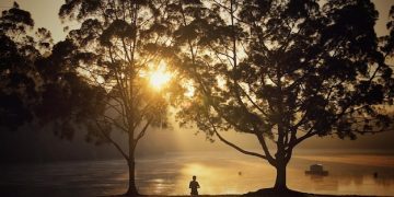 Build Resilience: 3 Techniques for Mental Strength - Cover Image