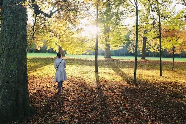 A person mindfully walking through a park with trees and sunlight. The focus is on their posture and relaxed state, conveying serenity and presence. The image relates to the practice of How to Increase Your Daily Mindfulness by 15% in Just 2 Weeks.