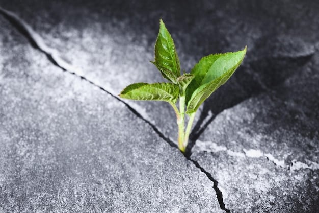 A close-up shot of a sprout pushing through cracked concrete, symbolizing resilience and the ability to grow despite harsh conditions. The image highlights the strength and determination required to overcome obstacles. Build Resilience: 5 Strategies for Bouncing Back from Setbacks and Achieving Success